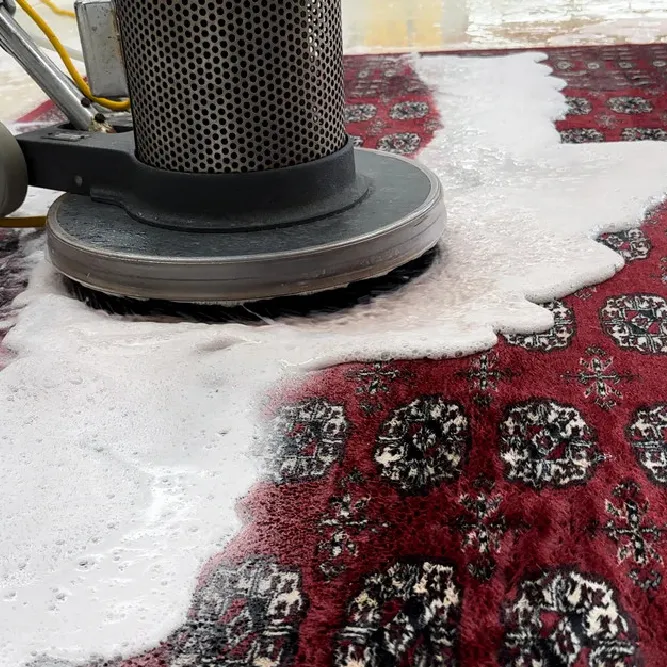 carpet cleaning in the Bronx, carpet cleaning in the Bronx, carpet cleaning the Bronx, carpet cleaners in the Bronx, carpet cleaners in the Bronx, commercial carpet cleaning, commercial carpet cleaning in the Bronx, the Bronx rug cleaners, rug cleaning services in the Bronx, same day carpet cleaning, same day rug cleaning
