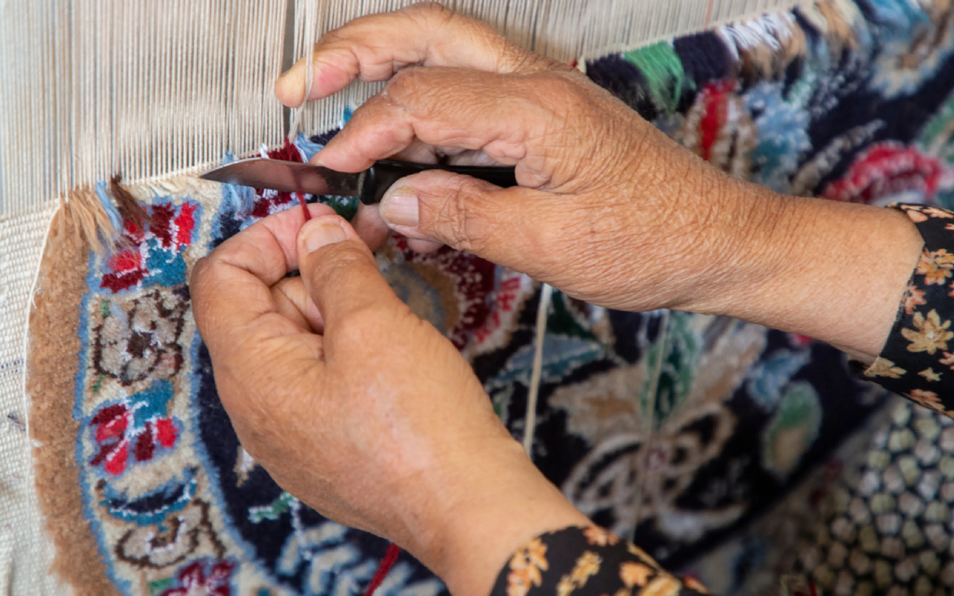 carpet cleaning in the Bronx, carpet cleaning in the Bronx, carpet cleaning the Bronx, carpet cleaners in the Bronx, carpet cleaners in the Bronx, commercial carpet cleaning, commercial carpet cleaning in the Bronx, the Bronx rug cleaners, rug cleaning services in the Bronx, same day carpet cleaning, same day rug cleaning